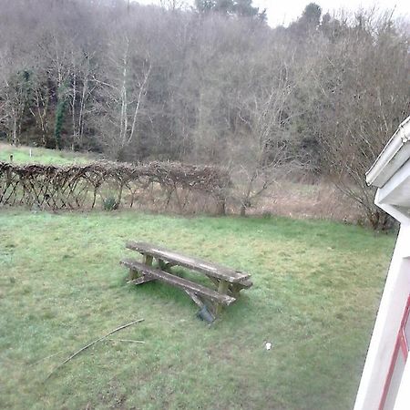 Harmony Hall Veganic Affittacamere Kilkenny Esterno foto