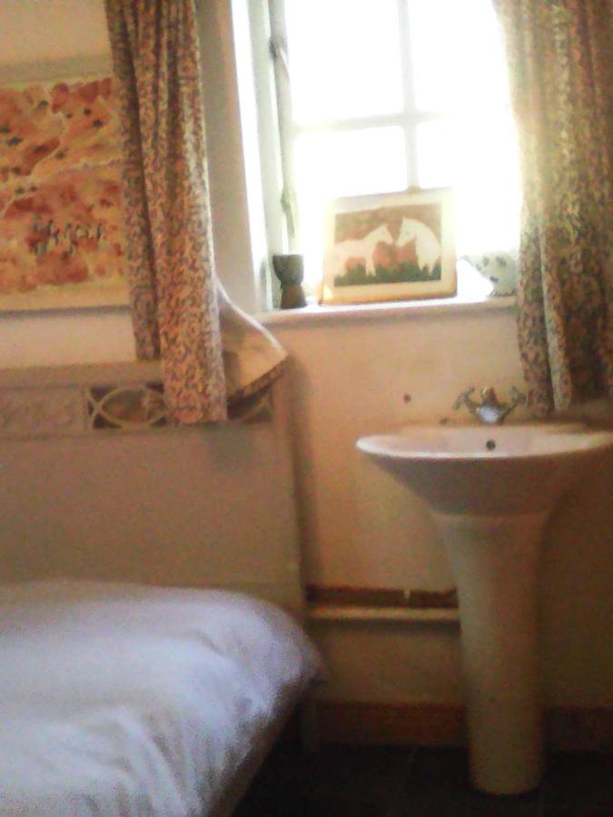 Harmony Hall Veganic Affittacamere Kilkenny Esterno foto