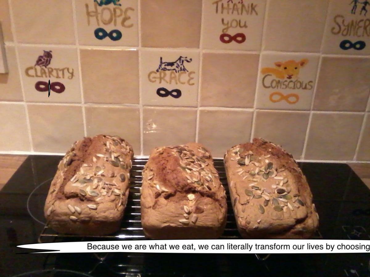 Harmony Hall Veganic Affittacamere Kilkenny Esterno foto