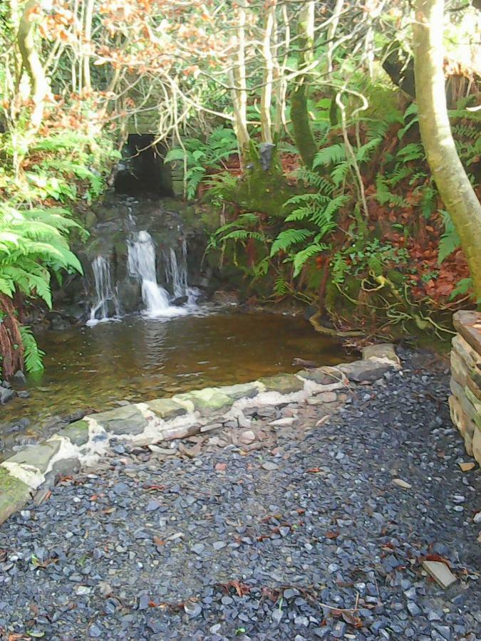 Harmony Hall Veganic Affittacamere Kilkenny Esterno foto