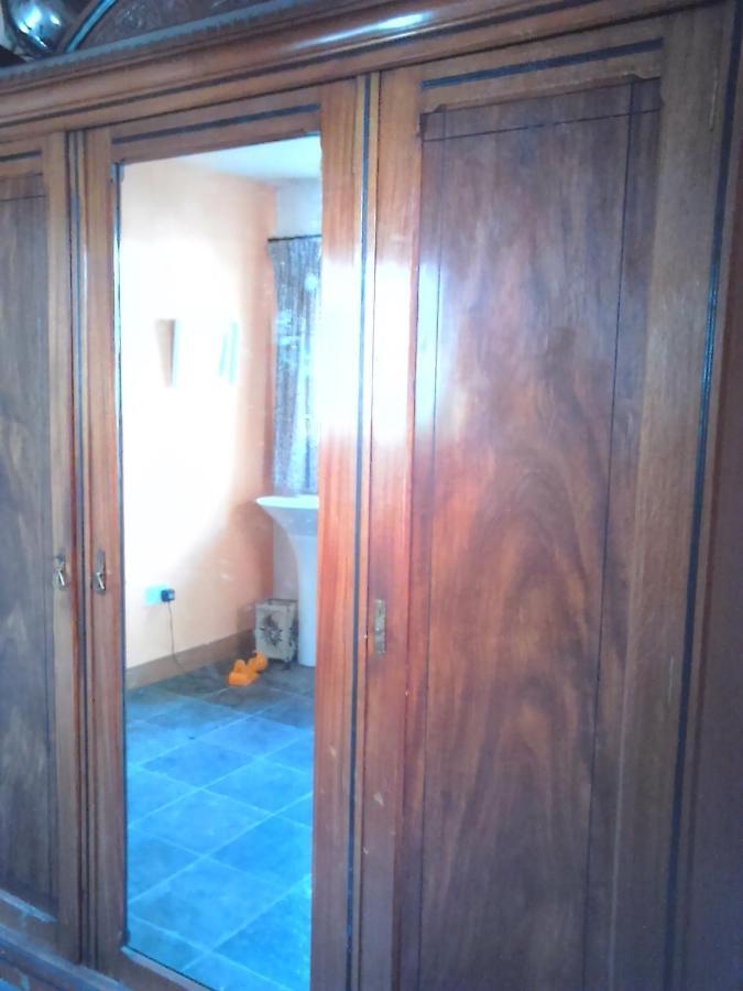 Harmony Hall Veganic Affittacamere Kilkenny Esterno foto